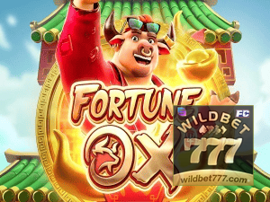 WILD BET777 login — painel de entrada no app oficial